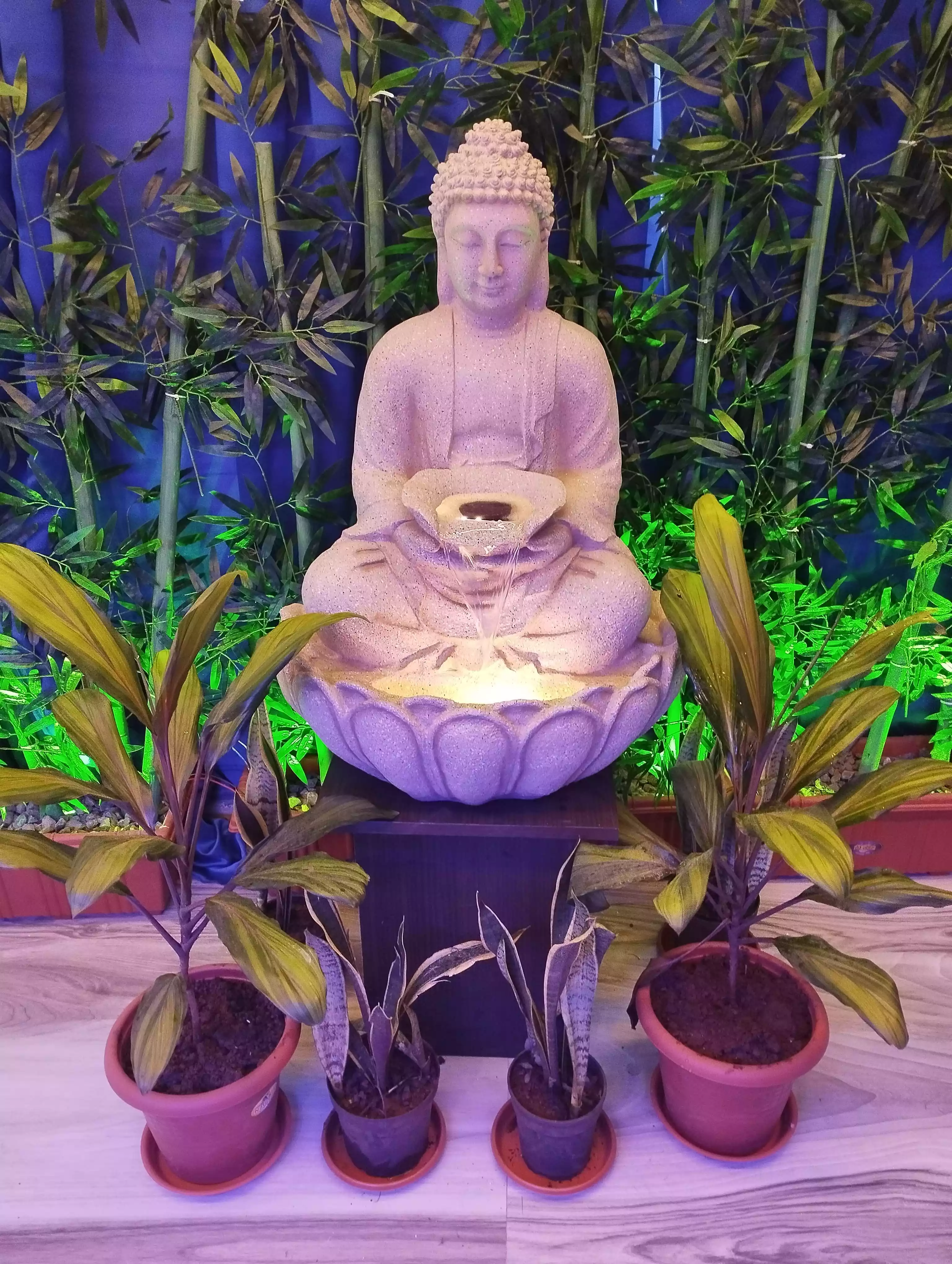 spin spa budda